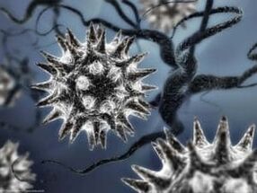 Model parazitického vírusu